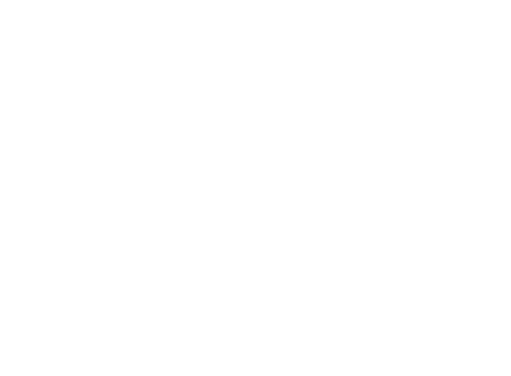 Park Place Holdings